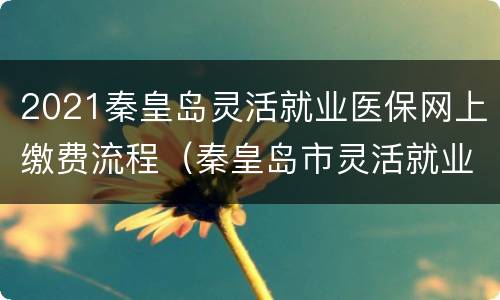 2021秦皇岛灵活就业医保网上缴费流程（秦皇岛市灵活就业医保缴费）