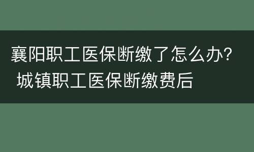 襄阳职工医保断缴了怎么办？ 城镇职工医保断缴费后