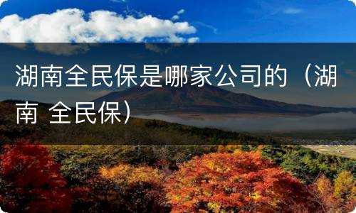 湖南全民保是哪家公司的（湖南 全民保）
