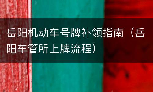 岳阳机动车号牌补领指南（岳阳车管所上牌流程）