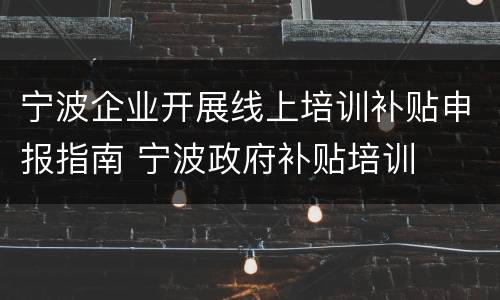宁波企业开展线上培训补贴申报指南 宁波政府补贴培训
