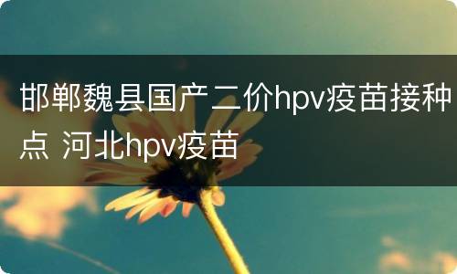 邯郸魏县国产二价hpv疫苗接种点 河北hpv疫苗