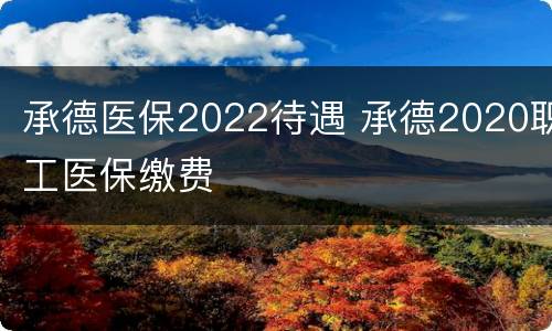 承德医保2022待遇 承德2020职工医保缴费