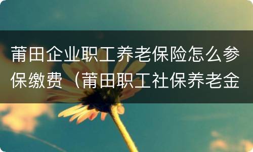 莆田企业职工养老保险怎么参保缴费（莆田职工社保养老金是多少）