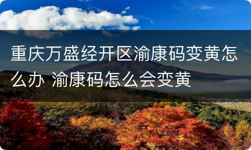 重庆万盛经开区渝康码变黄怎么办 渝康码怎么会变黄