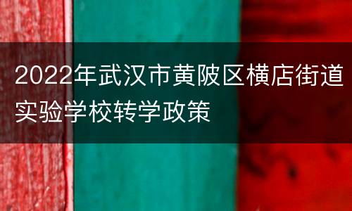 2022年武汉市黄陂区横店街道实验学校转学政策