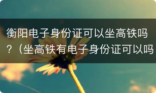 衡阳电子身份证可以坐高铁吗?（坐高铁有电子身份证可以吗）
