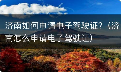 济南如何申请电子驾驶证?（济南怎么申请电子驾驶证）