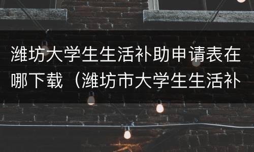 潍坊大学生生活补助申请表在哪下载（潍坊市大学生生活补助经费）