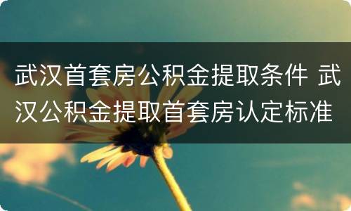 武汉首套房公积金提取条件 武汉公积金提取首套房认定标准