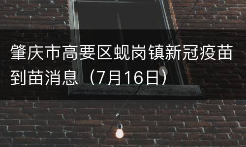 肇庆市高要区蚬岗镇新冠疫苗到苗消息（7月16日）