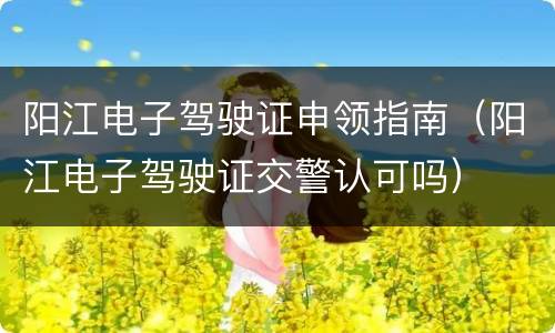 阳江电子驾驶证申领指南（阳江电子驾驶证交警认可吗）