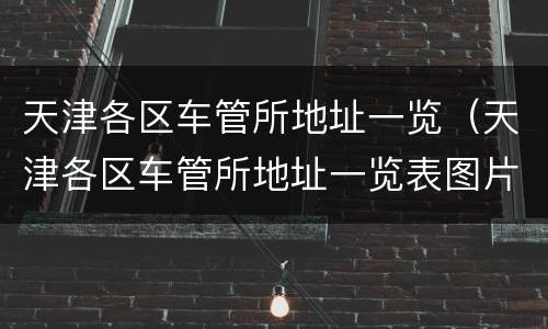 天津各区车管所地址一览（天津各区车管所地址一览表图片）