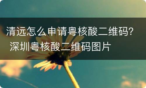 清远怎么申请粤核酸二维码？ 深圳粤核酸二维码图片