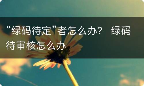 “绿码待定”者怎么办？ 绿码待审核怎么办