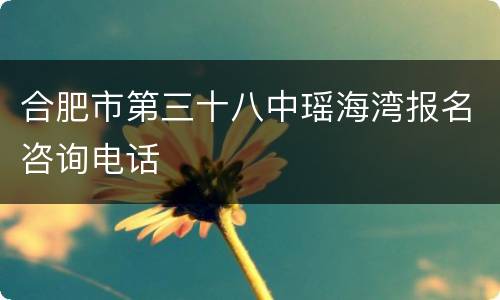 合肥市第三十八中瑶海湾报名咨询电话