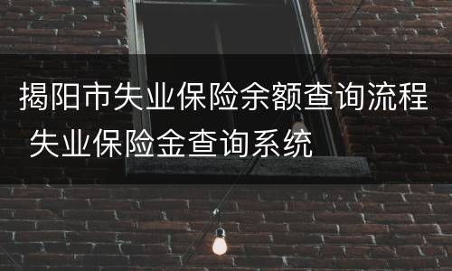 揭阳市失业保险余额查询流程 失业保险金查询系统