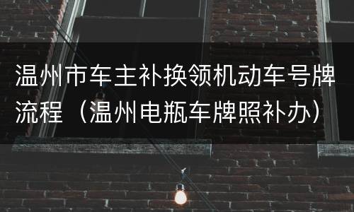 温州市车主补换领机动车号牌流程（温州电瓶车牌照补办）