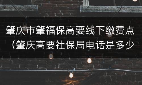 肇庆市肇福保高要线下缴费点（肇庆高要社保局电话是多少）