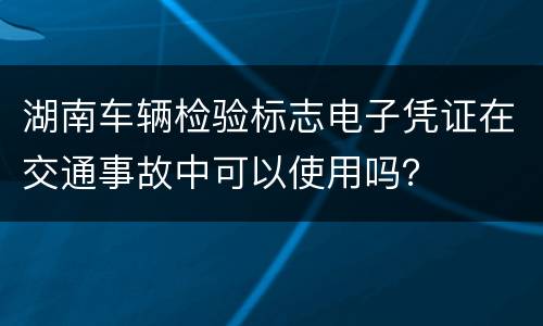 湖南车辆检验标志电子凭证在交通事故中可以使用吗？