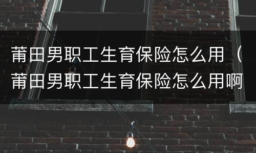 莆田男职工生育保险怎么用（莆田男职工生育保险怎么用啊）