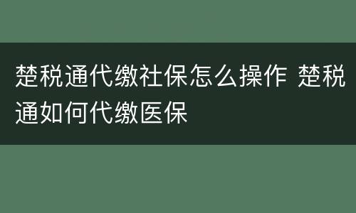 楚税通代缴社保怎么操作 楚税通如何代缴医保
