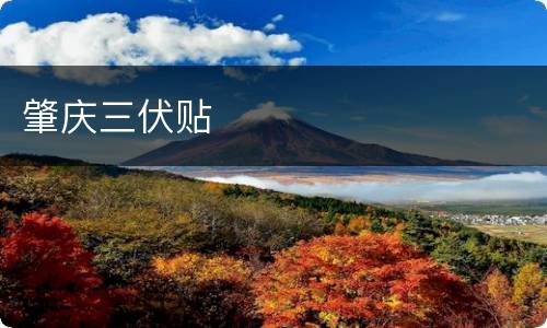 肇庆三伏贴