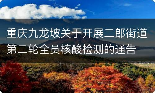 重庆九龙坡关于开展二郎街道第二轮全员核酸检测的通告