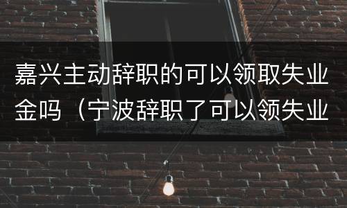 嘉兴主动辞职的可以领取失业金吗（宁波辞职了可以领失业金吗）