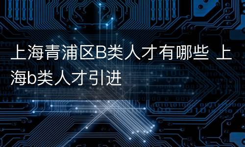 上海青浦区B类人才有哪些 上海b类人才引进