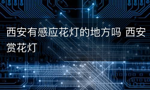 西安有感应花灯的地方吗 西安赏花灯