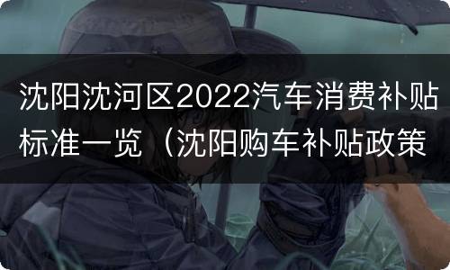 沈阳沈河区2022汽车消费补贴标准一览（沈阳购车补贴政策）