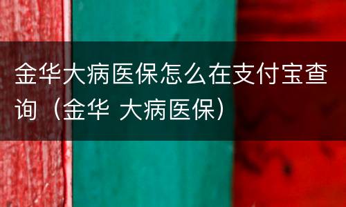 金华大病医保怎么在支付宝查询（金华 大病医保）