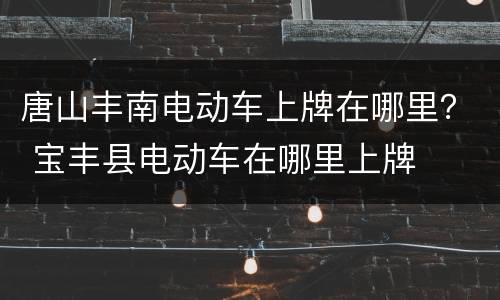 唐山丰南电动车上牌在哪里？ 宝丰县电动车在哪里上牌