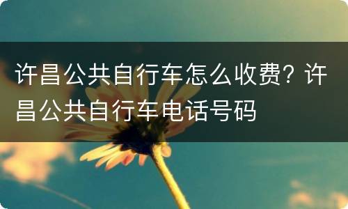 许昌公共自行车怎么收费? 许昌公共自行车电话号码