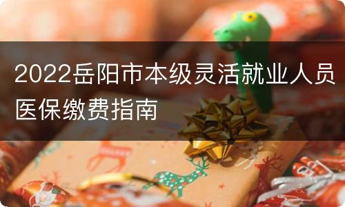 2022岳阳市本级灵活就业人员医保缴费指南