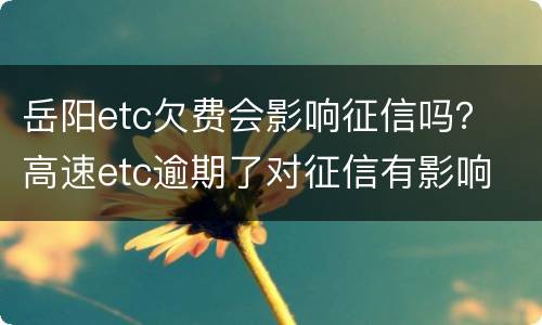 岳阳etc欠费会影响征信吗？ 高速etc逾期了对征信有影响
