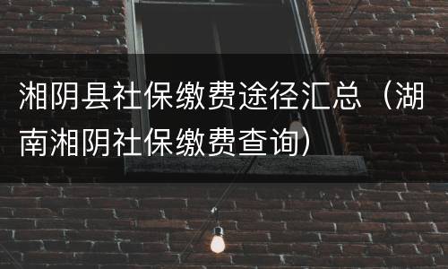 湘阴县社保缴费途径汇总（湖南湘阴社保缴费查询）