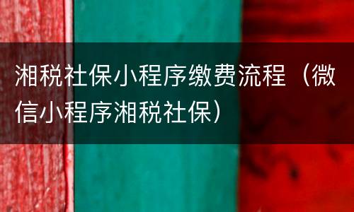 湘税社保小程序缴费流程（微信小程序湘税社保）