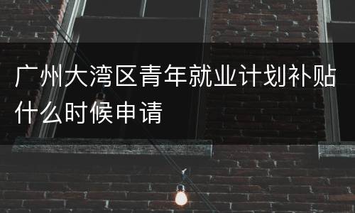 广州大湾区青年就业计划补贴什么时候申请