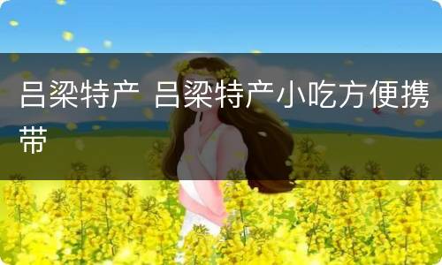 吕梁特产 吕梁特产小吃方便携带