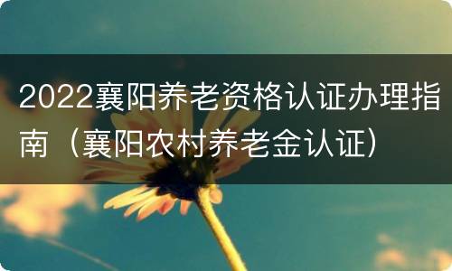 2022襄阳养老资格认证办理指南（襄阳农村养老金认证）