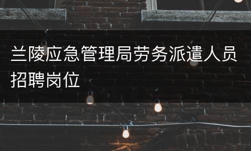 兰陵应急管理局劳务派遣人员招聘岗位
