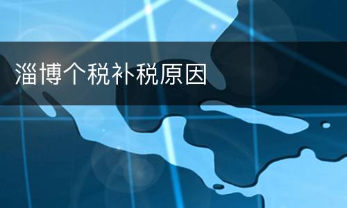 淄博个税补税原因