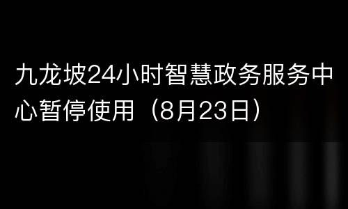 九龙坡24小时智慧政务服务中心暂停使用（8月23日）