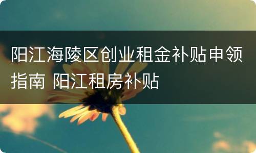 阳江海陵区创业租金补贴申领指南 阳江租房补贴