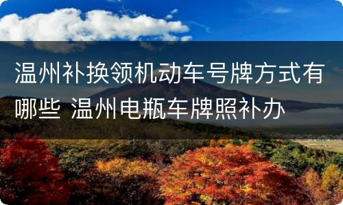 温州补换领机动车号牌方式有哪些 温州电瓶车牌照补办