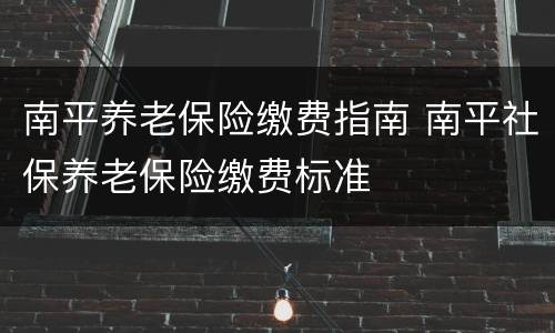 南平养老保险缴费指南 南平社保养老保险缴费标准