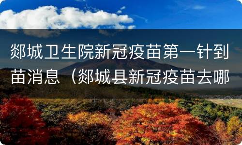 郯城卫生院新冠疫苗第一针到苗消息（郯城县新冠疫苗去哪预约）