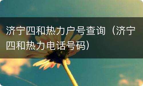 济宁四和热力户号查询（济宁四和热力电话号码）